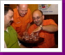 Klicken Sie auf das Bild, um es zu vergrößern